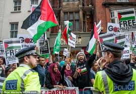 Pro-Palestinian demos held across world