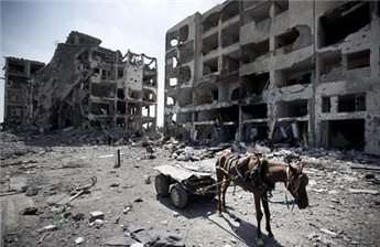 A picture taken on August 11, 2014 in Beit Lahiya in Gaza Strip shows a donkey cart in front of the destroyed Nada Towers as Palestinians return to the area to inspect what remains of their homes
