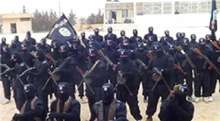 فرار دسته جمعی تروریستهای داعش از دیاله به سوی موصل