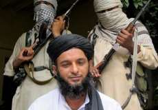 پنجابی طالبان پاکستان میں جہادی کاروائیاں نہیں کریں گے، عصمت اللہ معاویہ