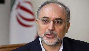 صالحي يؤكّد استعداد ايران لمساعدة الدول الصديقة الراغبة بامتلاك التقنية النووية