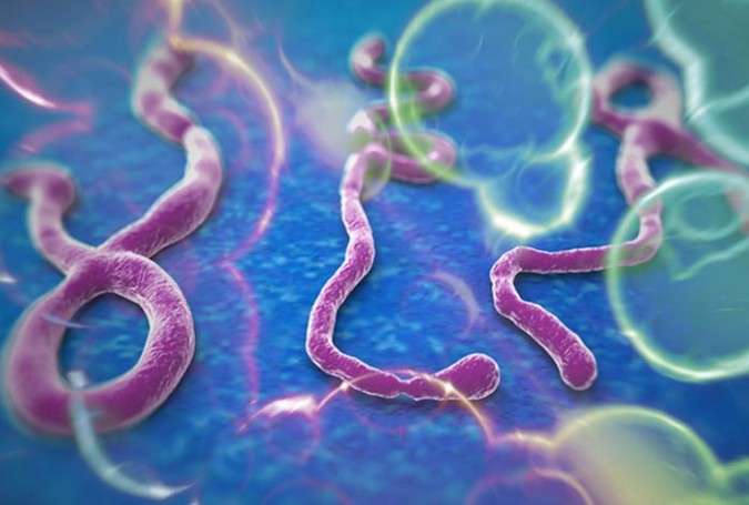 Ebolaya qarşı vaksin tapıldı