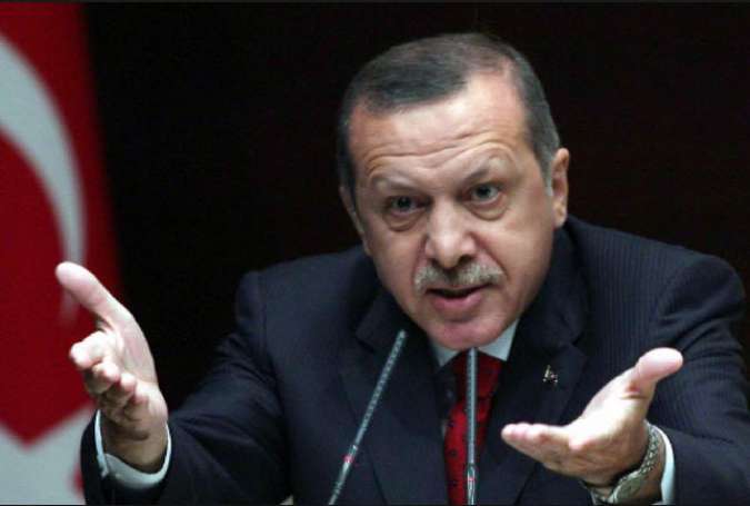 سیاست خارجی اردوغان، شترگاو پلنگ