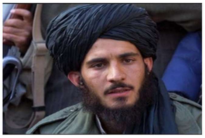 تفاوت‌های طالبان با داعش و القاعده