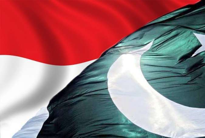 پاکستان کا انڈونیشیا سے تجارت میں خسارہ 200 فیصد بڑھ گیا