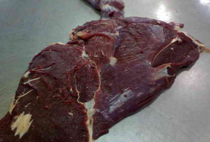 ڈی آئی خان، گدھے کے گوشت کا کاروبار کرنیوالے پانچ افراد گرفتار