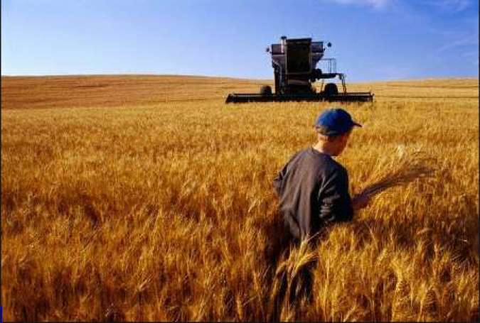 روسیه تحریم‌ کالاهای کشاورزی ترکیه را کلید زد