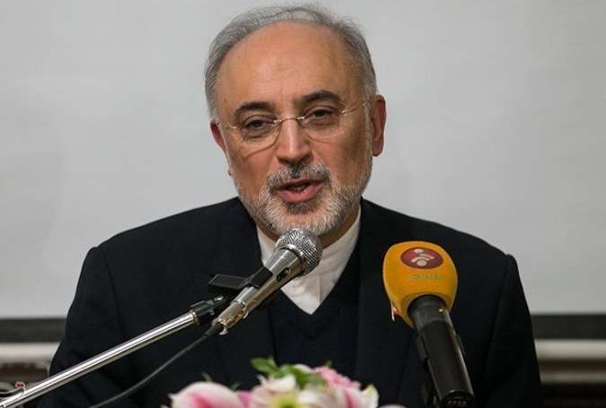 ایران کو ایٹمی ایندھن کی تیاری میں خود کفیل بنانا چاہتے ہیں، ڈاکٹر علی اکبر صالحی