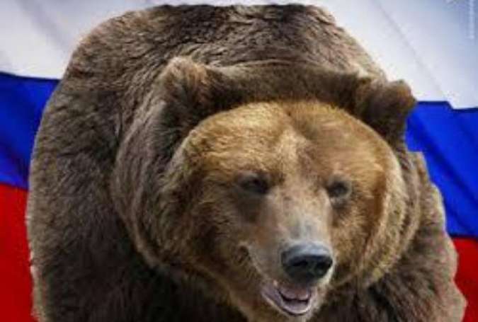 «خرس بزرگ» را بیدار نکنید/ عواقب تحریک روسیه چیست؟