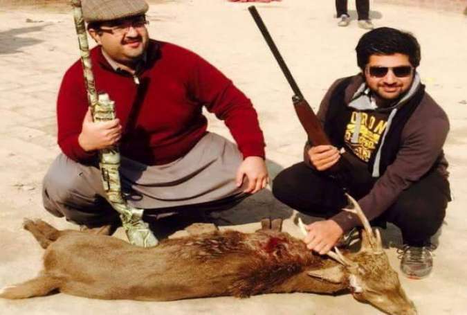 پی ٹی آئی کے شکاریوں نے سندھ میں تلور کا شکار کیا نہ کہ کے پی کے میں، سیکرٹری وائلڈ لائف