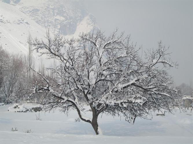 بلتستان کے صدر مقام اسکردو کے برفانی مناظر کی تصویری جھلکیاں