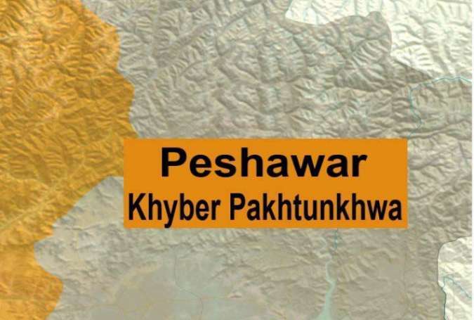 پشاور، انتظامیہ کے فاسٹ فوڈ ریسٹورانٹس پر چھاپے 53 افراد گرفتار