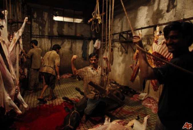پشاور، مردہ جانوروں کے گوشت کے فروخت کا انکشاف