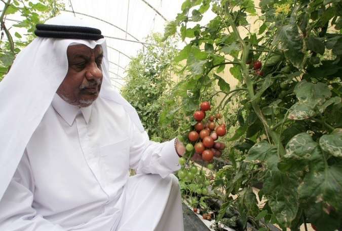الأزمة الخليجية تفتح أعين الدوحة على أمنها الغذائي