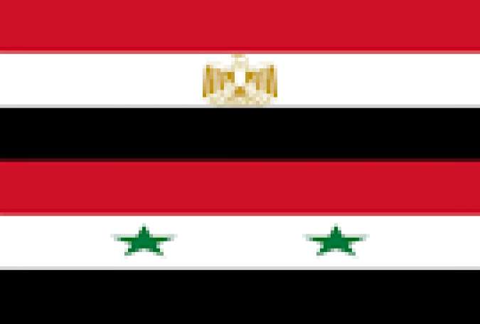 هرگونه پیروزی سوریه در برابر تروریستها پیروزی مصر است