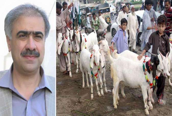 کراچی، غیر قانونی مویشی منڈیوں کے خلاف کریک ڈاؤن کا آغاز کیا جائے، سہیل انور سیال