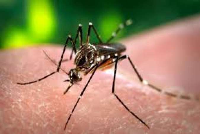 ڈینگی وائرس پختونخوا کے 9 اضلاع تک پھیل گیا