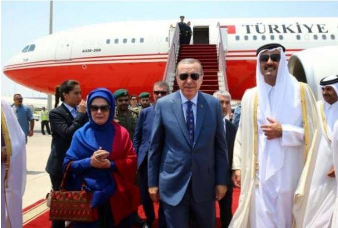 امیر قطر با اردوغان دیدار کرد