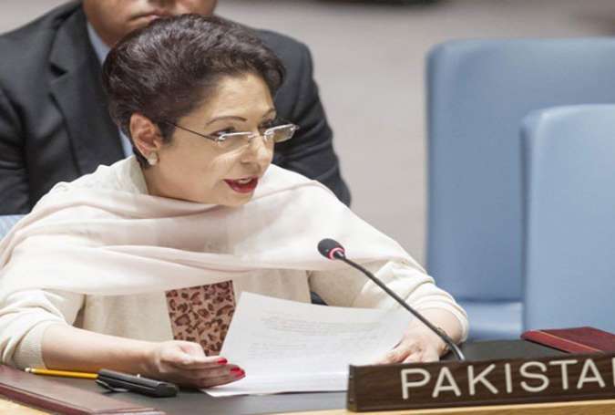 پاکستان بھارتی جارحیت کا بھرپور جواب دے گا، ملیحہ لودھی