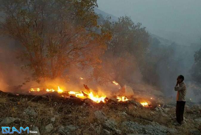 اندلاع حريق واسع في غابات كلستان شمال ايران