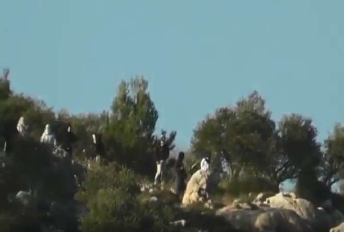 مستوطنون يعتدون على أشجار الزيتون في نابلس