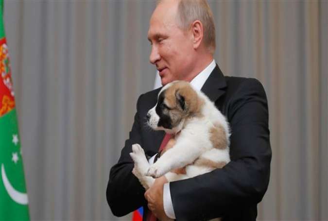 Russian President Vladimir Putin holds a Turkmen shepherd dog, locally known as Alabai, received by the Turkmenistan