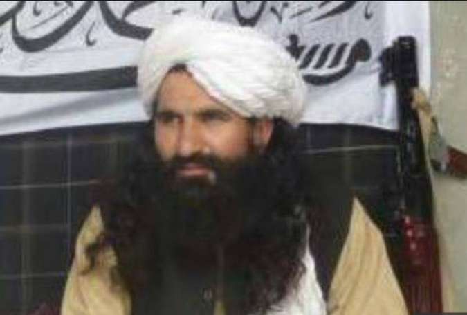 رهبر جنبش طالبان پاکستان کشته شد