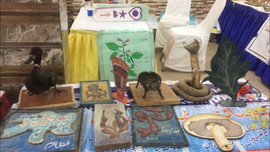 مردان میں ضلعی حکومت اور الف اعلان کیجانب سے لگائے جانیوالے سائنسی میلے کے مناظر