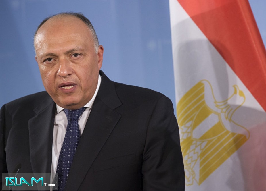 وزير الخارجية المصري: لن نرسل قواتنا إلى سوريا