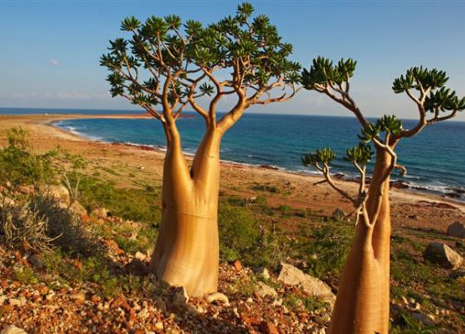 Socotra, home to some 60,000 people, sits at the entrance to the Gulf of Aden.