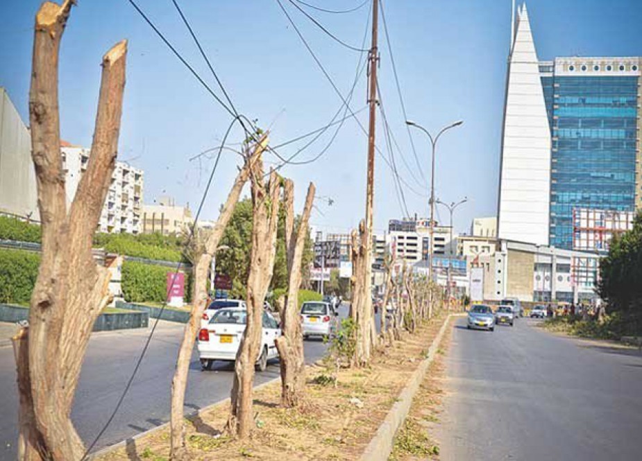 درختوں کا نہ ہونا کراچی میں ہیٹ ویو کی بڑی وجہ قرار