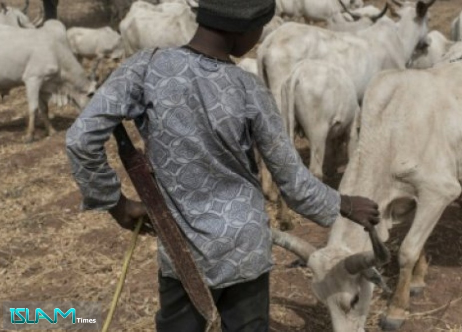 15 قتيلاً بهجمات لرعاة من البدو على مزارعين وسط نيجيريا