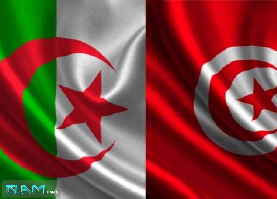 الجزائر: ندعم تونس في استئصال “ورم الإرهاب الخبيث”