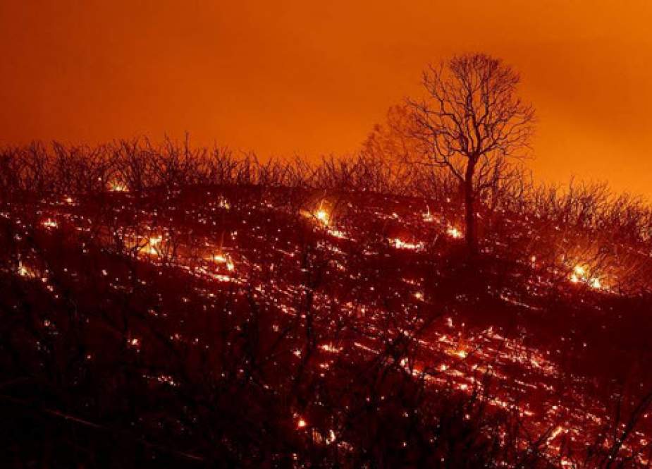 دوزخ در کالیفرنیا؛ بزرگترین آتش‌سوزی تاریخ آمریکا به روایت تصاویر