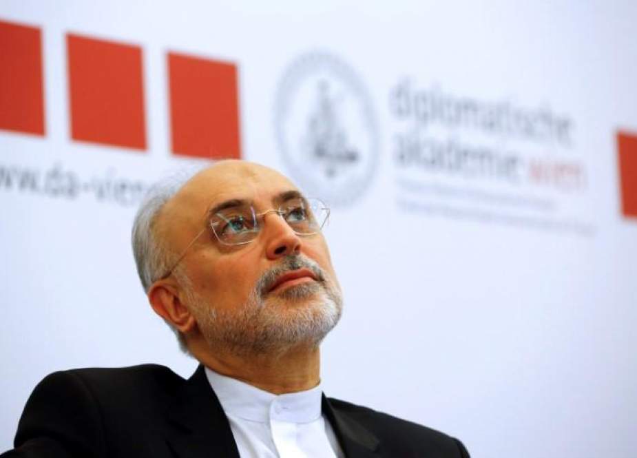Kepala Organisasi Energi Atom Iran (AEOI) Ali Akbar Salehi