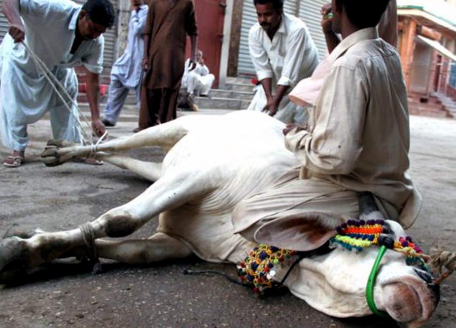 کراچی، عیدالاضحیٰ پر پیشہ ور قصائیوں نے جانور ذبح کرنے کی اجرت 3 ہزار بڑھا دی