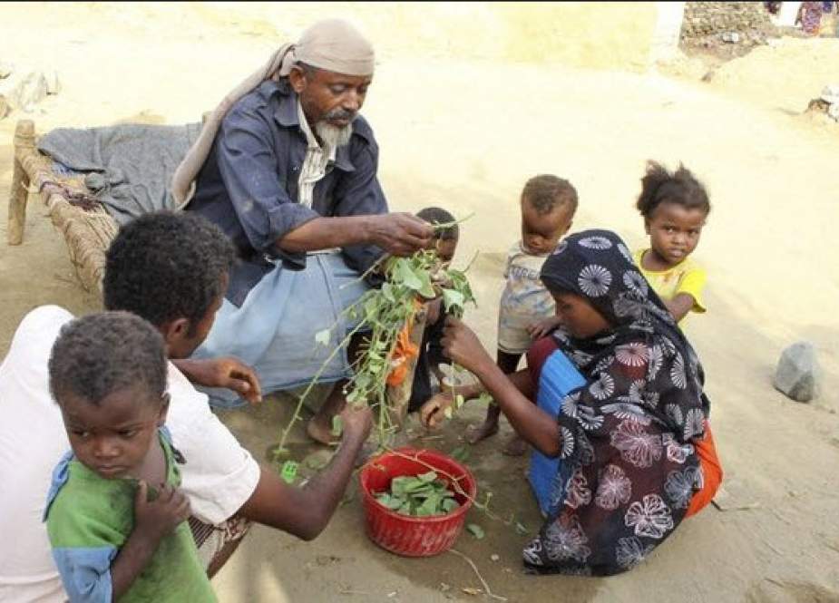 آسوشیتدپرس: مادران یمنی کودکان خود را با برگ درخت تغذیه می‌کنند!