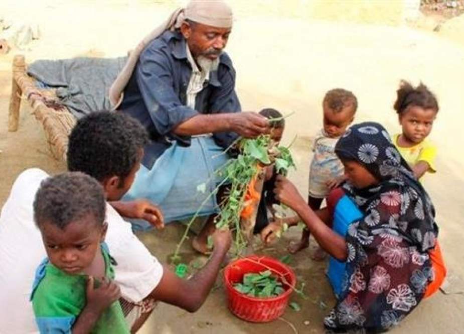In this Aug. 25, 2018 photo, a man feeds children Halas, a climbing vine of green leaves, in Aslam, Hajjah, Yemen.