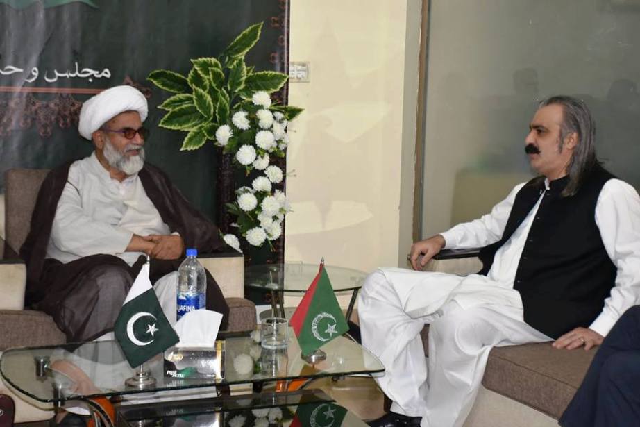 وفاقی وزیر علی امین گنڈا پور کی سربرہ ایم ڈبلیو ایم سے ملاقات
