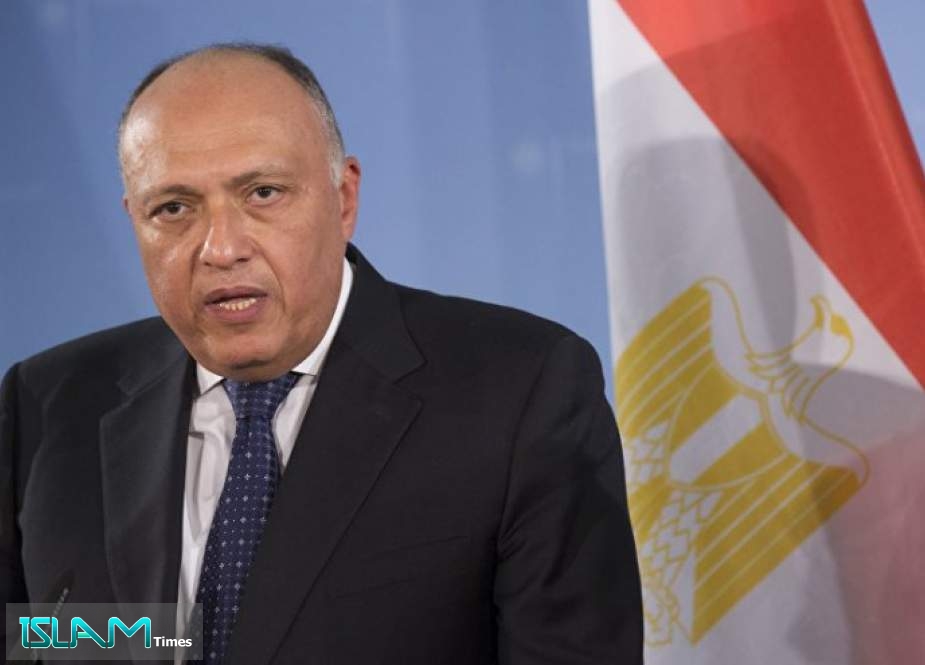 وزير الخارجية المصري يبحث مفاوضات سد النهضة مع نظيره الإثيوبي