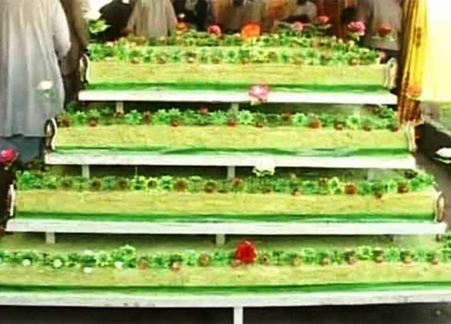عید میلادالنبی(ص) کے موقع پر ملتان میں 100من حلوہ تقسیم، فیصل آباد میں 17 منزلہ کیک کاٹا گیا