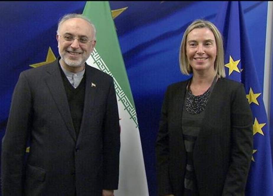 Head of the Atomic Energy Organization of Iran Ali Akbar Salehi (L) and the EU