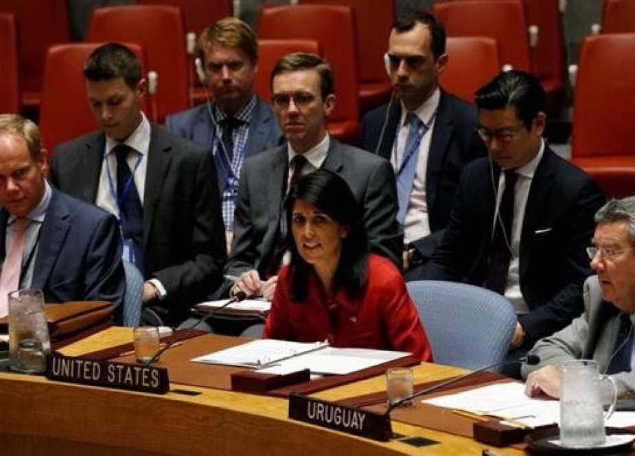 US Ambassador to the UN Nikki Haley (C) speaks at a Security Council meeting. (File photo)