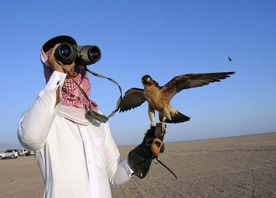 غیر ملکیوں کو بلوچستان کے 15 علاقوں میں پرندوں کے شکار کیلئے پرمٹ جاری