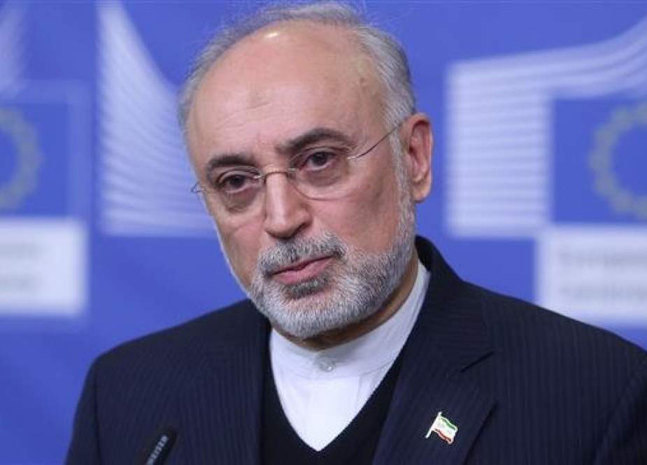 Head of the Atomic Energy Organization of Iran (AEOI), Ali Akbar Salehi, gives a joint press point with the European commissioner for climate and energy (unseen) in Brussels on November 26, 2018. (Photo by AFP)