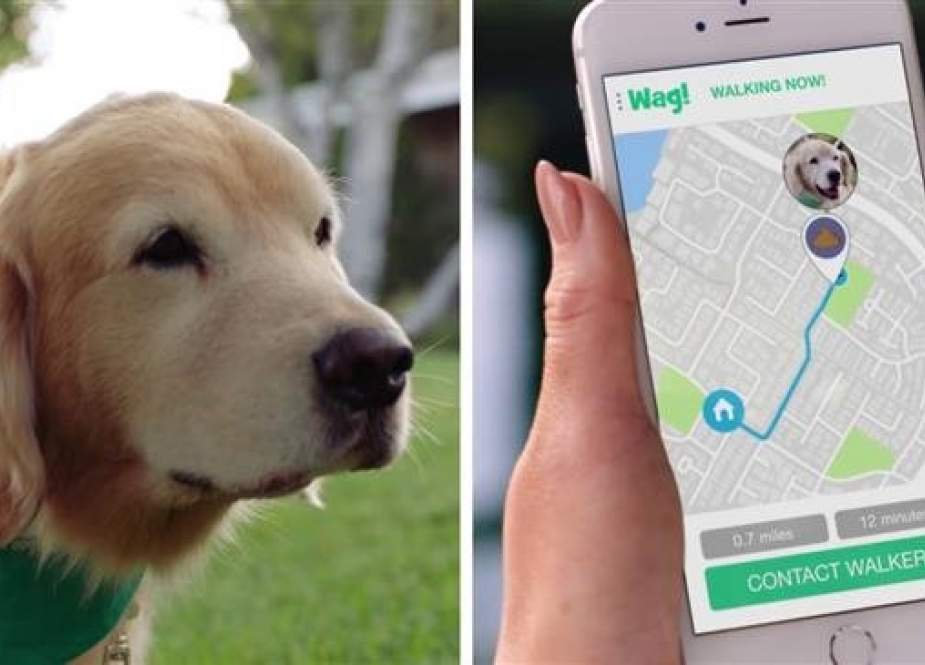 Saudi Arabia has invested $300 million in a dog walking app.jpg
