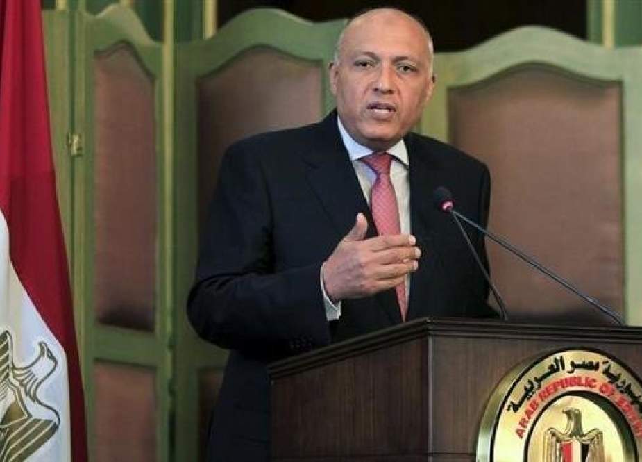 Sameh Shoukry -Egyptian Foreign Minister.jpg