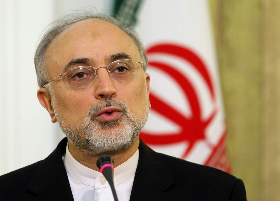Ali Akbar Salehi, The head of Iran