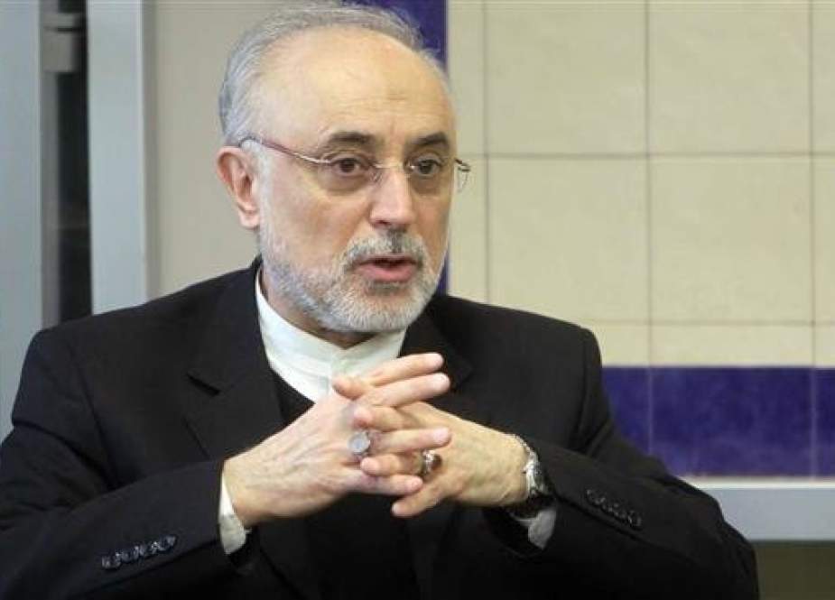 Head of the Atomic Energy Organization of Iran (AEOI) Ali Akbar Salehi speaks in an interview with the Islamic Republic News Agency (IRNA), in Tehran, on January 26, 2019. (Photo by IRNA)
