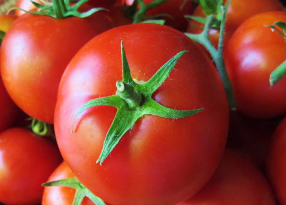ملک بھر میں ٹماٹر کی قیمتیں آسمان سے باتیں کرنے لگیں